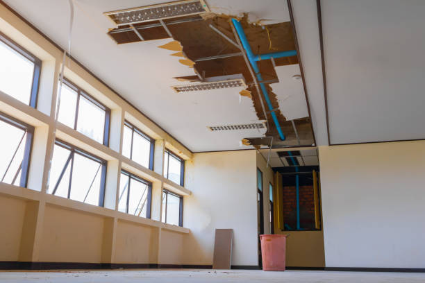 Best 24/7 water damage repair  in North Muskegon, MI