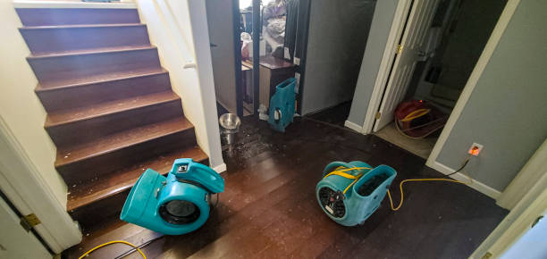 Best Fire Damage Restoration  in North Muskegon, MI