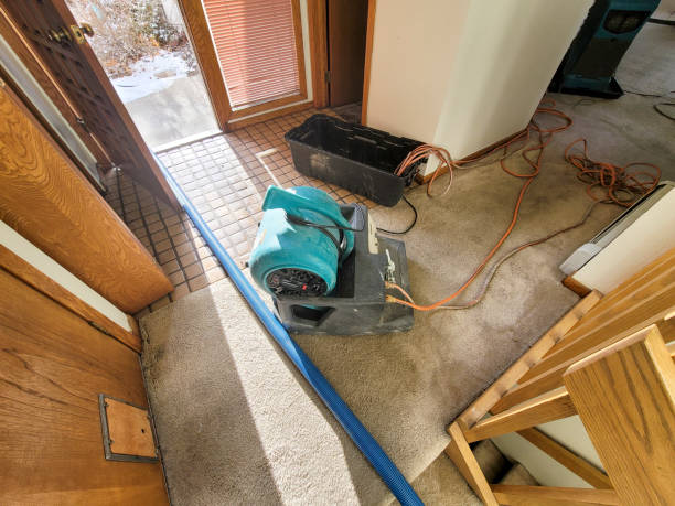 Best Commercial water damage restoration  in North Muskegon, MI