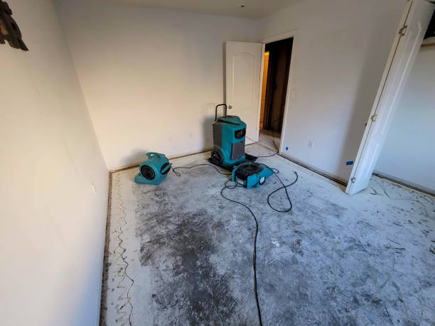 Best Sewage cleanup and water damage restoration  in North Muskegon, MI