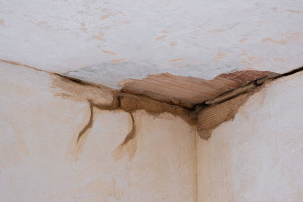 Best Water damage restoration experts  in North Muskegon, MI