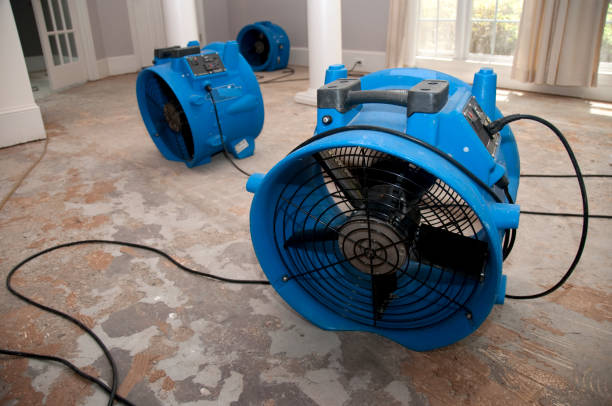 Best Basement water damage restoration  in North Muskegon, MI