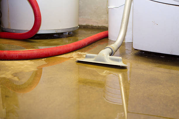 Best Water damage cleanup near me  in North Muskegon, MI