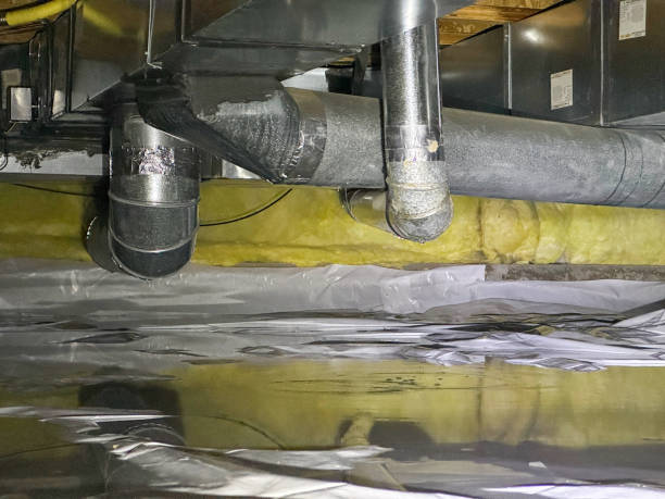 Best Water damage restoration near me  in North Muskegon, MI