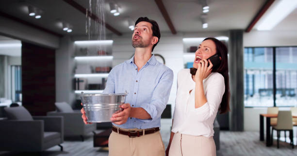 Best Flood damage cleanup  in North Muskegon, MI